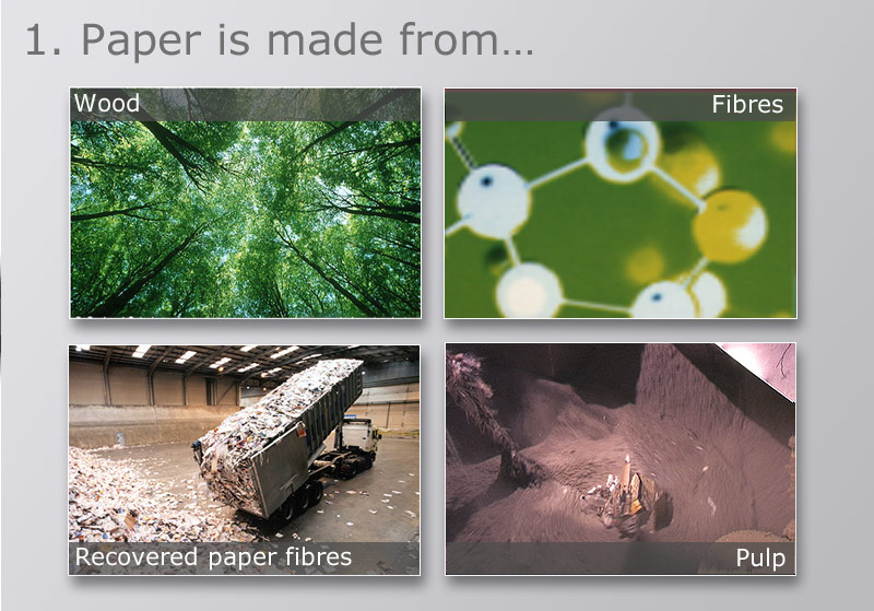 Paper is made from...
